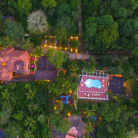 Ushasree Wayanad Heritage Premium Pool Resort By Voye Homes Ambalavayal Esterno foto